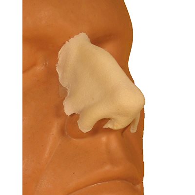 Large Aquiline Nose
